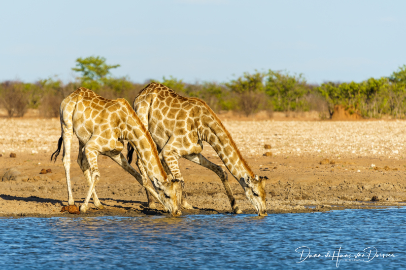 Botswana-Namibie-0002